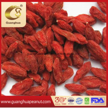 Wholesale Low Pesticide Preserved Gojiberry in Bulk